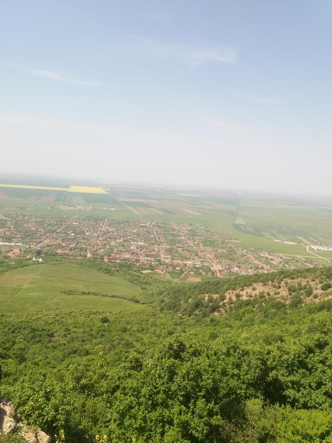 Pensiunea Aurelia Siria Экстерьер фото