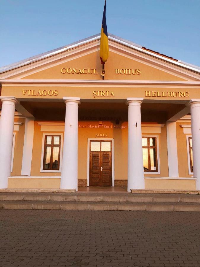 Pensiunea Aurelia Siria Экстерьер фото